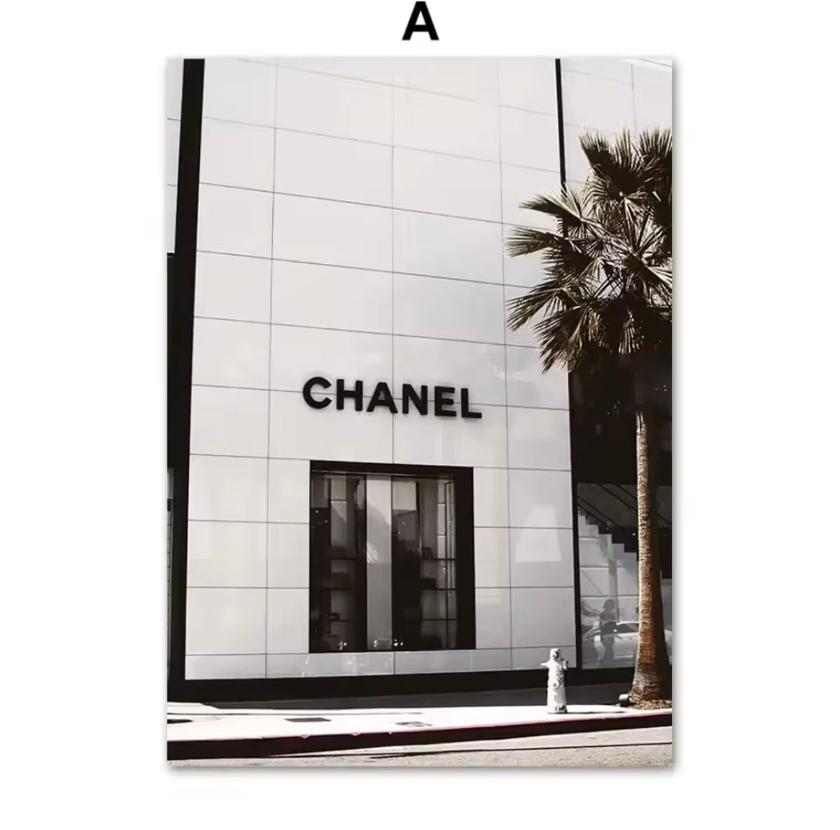 Pânză Chanel Paris